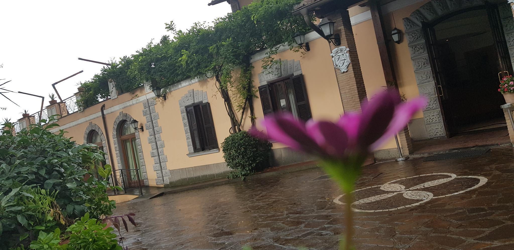 Villa Icidia Frascati Esterno foto